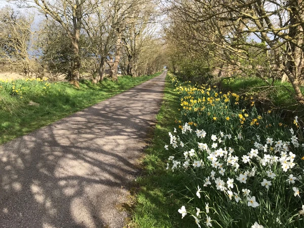 Action for Climate and Environment Newburgh-31